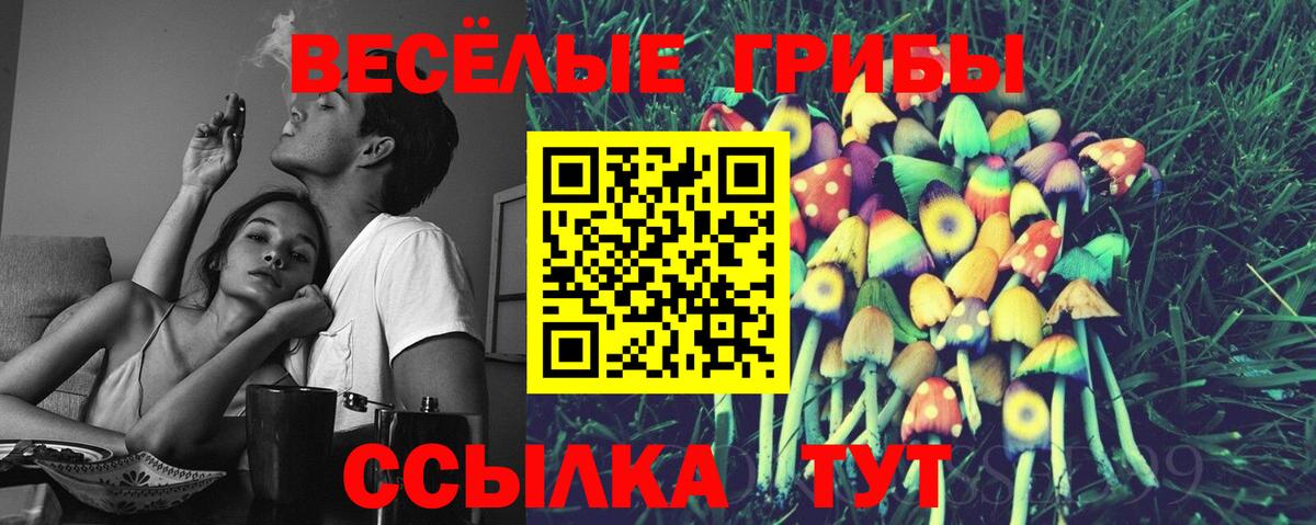Псилоцибиновые грибы Psilocybine cubensis Ханты-Мансийск